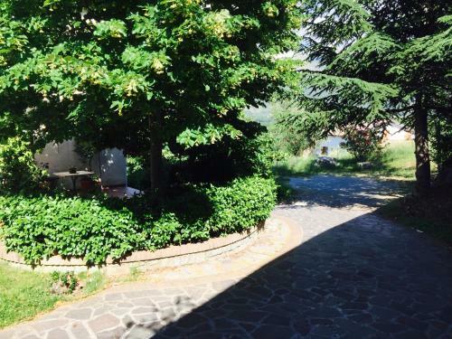 Bed & Breakfast Al Vecchio Camino