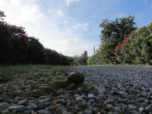 Hostal Azienda Agrituristica Allumiere