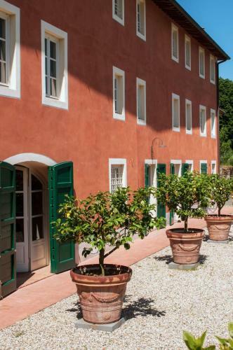 Hostal Villa La Flora