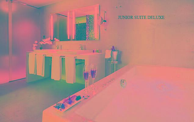 Hotel Barcel� M�laga