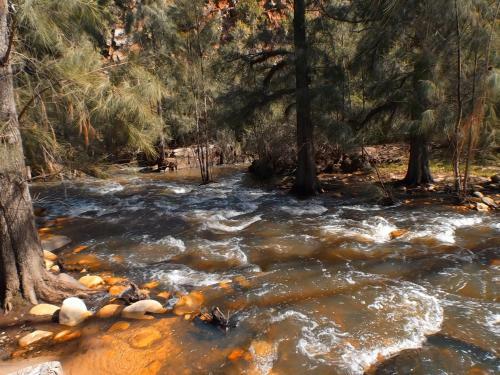 Valley Bushveld Country Lodge