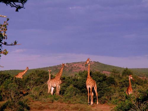 Valley Bushveld Country Lodge