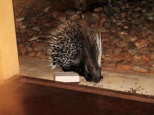 Valley Bushveld Country Lodge