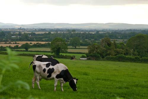 Ballindrum Farm B&B