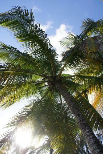 Bed & Breakfast Les Jardins De Cousini�re