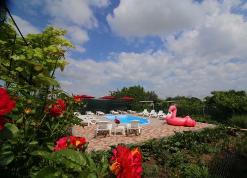 Hostal Kamenny Dom Mini Hotel