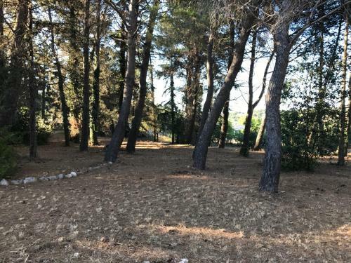 Agroturismo Splendida Villa A Selva Di Fasano