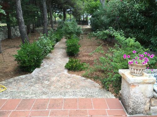 Agroturismo Splendida Villa A Selva Di Fasano
