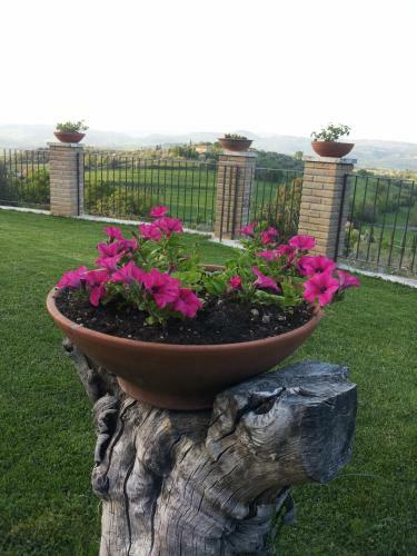 B&B La Piaggia
