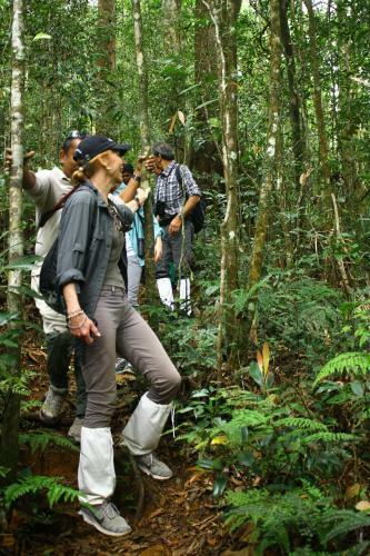 The Rainforest Ecolodge - Sinharaja