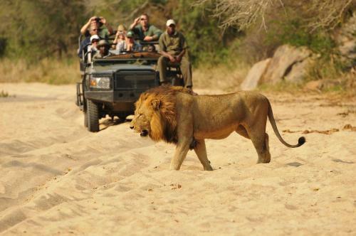 Inyati Game Lodge