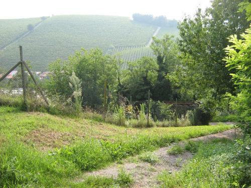 Agroturismo Agriturismo Il Borgo