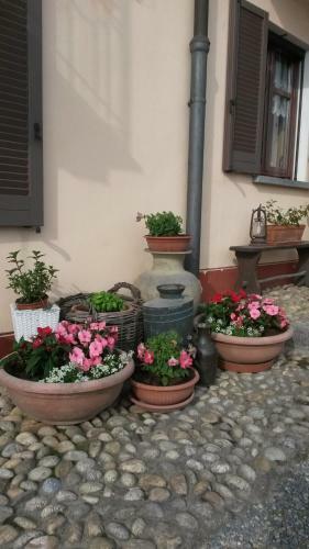 Agroturismo Agriturismo Il Borgo