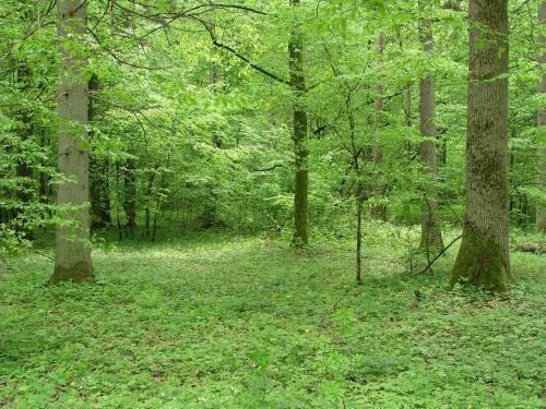 Hostal Dw�r Bartnika