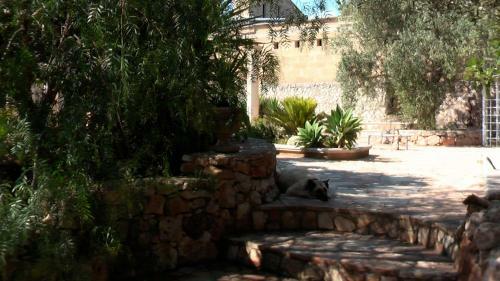 Agroturismo Dipendanza Veneri