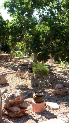 Agroturismo Dipendanza Veneri