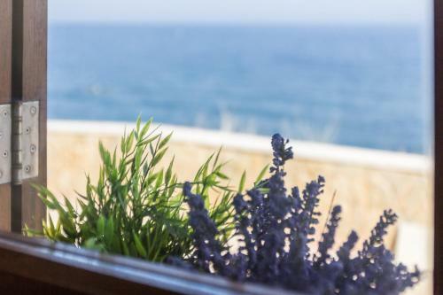 Hostal Le Conchiglie