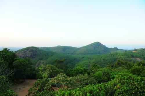 Hotel Kithul Kanda The Mountain Resort