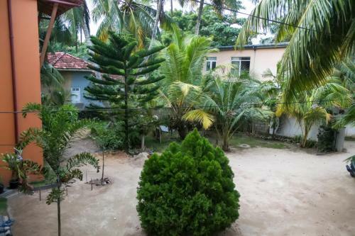 Hostal Sky Garden Guest House
