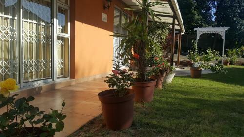 Hostal Rose Of Sharon