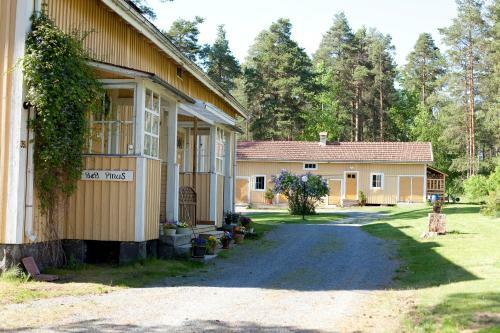 B&B Pinus