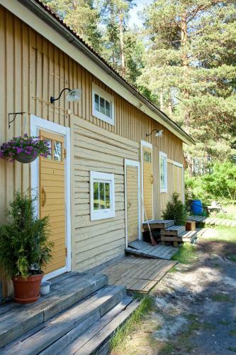B&B Pinus
