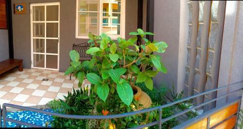 Bed & Breakfast Kenting Lian Nan Wan