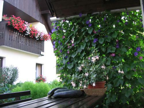 Apartment Andolsek