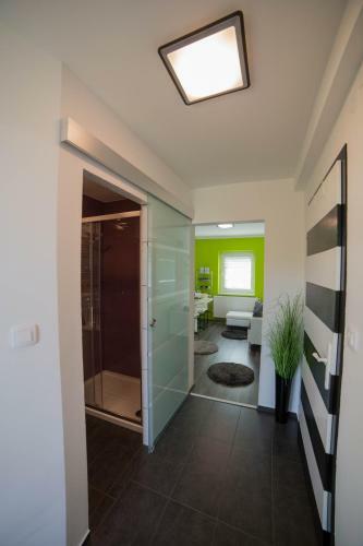 Apartment Andolsek