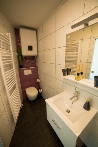 Apartment Andolsek