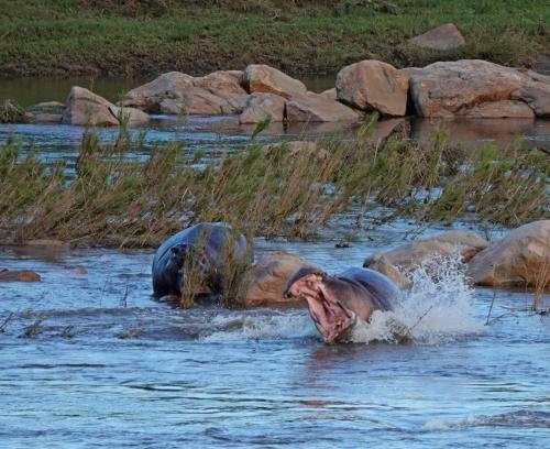 Kruger River Self-catering