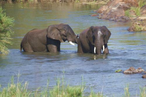 Kruger River Self-catering