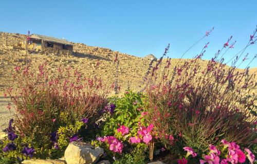 Albergue Succah In The Desert