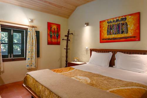 Hostal Quinta Da Mimosa