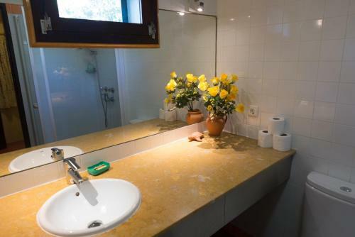 Hostal Quinta Da Mimosa