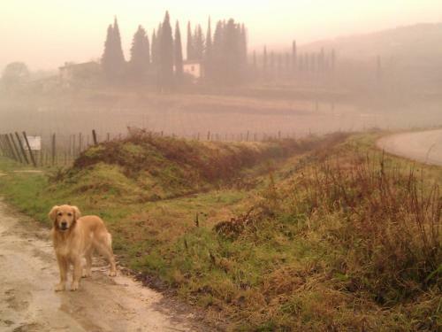 Bed & Breakfast Olivella