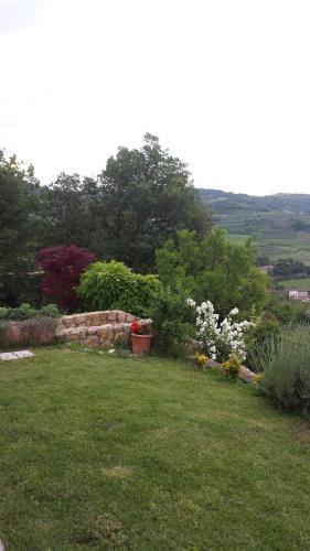 Bed & Breakfast Olivella