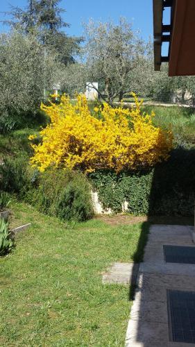 Bed & Breakfast Olivella