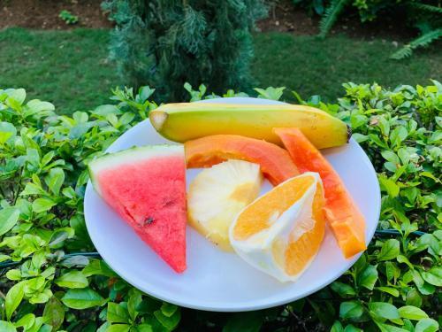 Hotel Mynt Retreat & Spa