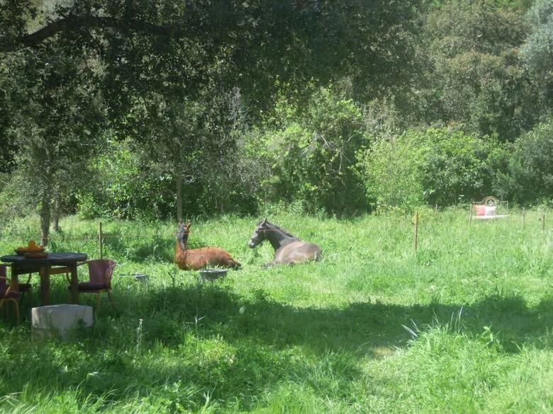 Agroturismo Casas Da Cerca