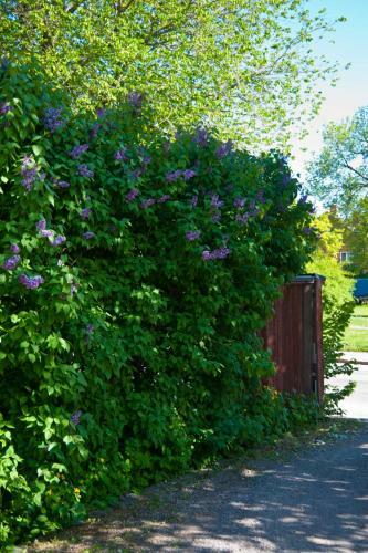 Hostal Johanssons G�rdshotell I Roslagen