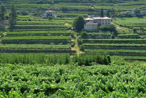 Agroturismo B&B La Betulla