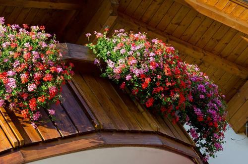 Hostal Ferienwohnungen Lanserhof