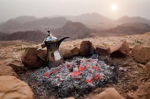 Hotel Movenpick Resort Petra