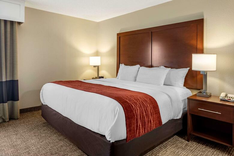 Hotel Comfort Inn And Suites - Airport
