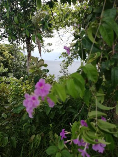 Posada Rancho Juancho