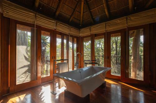 Pumba Private Game Reserve