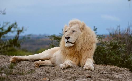 Pumba Private Game Reserve