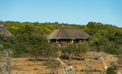 Pumba Private Game Reserve