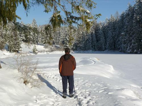 Bed & Breakfast Chalet Des Alpes